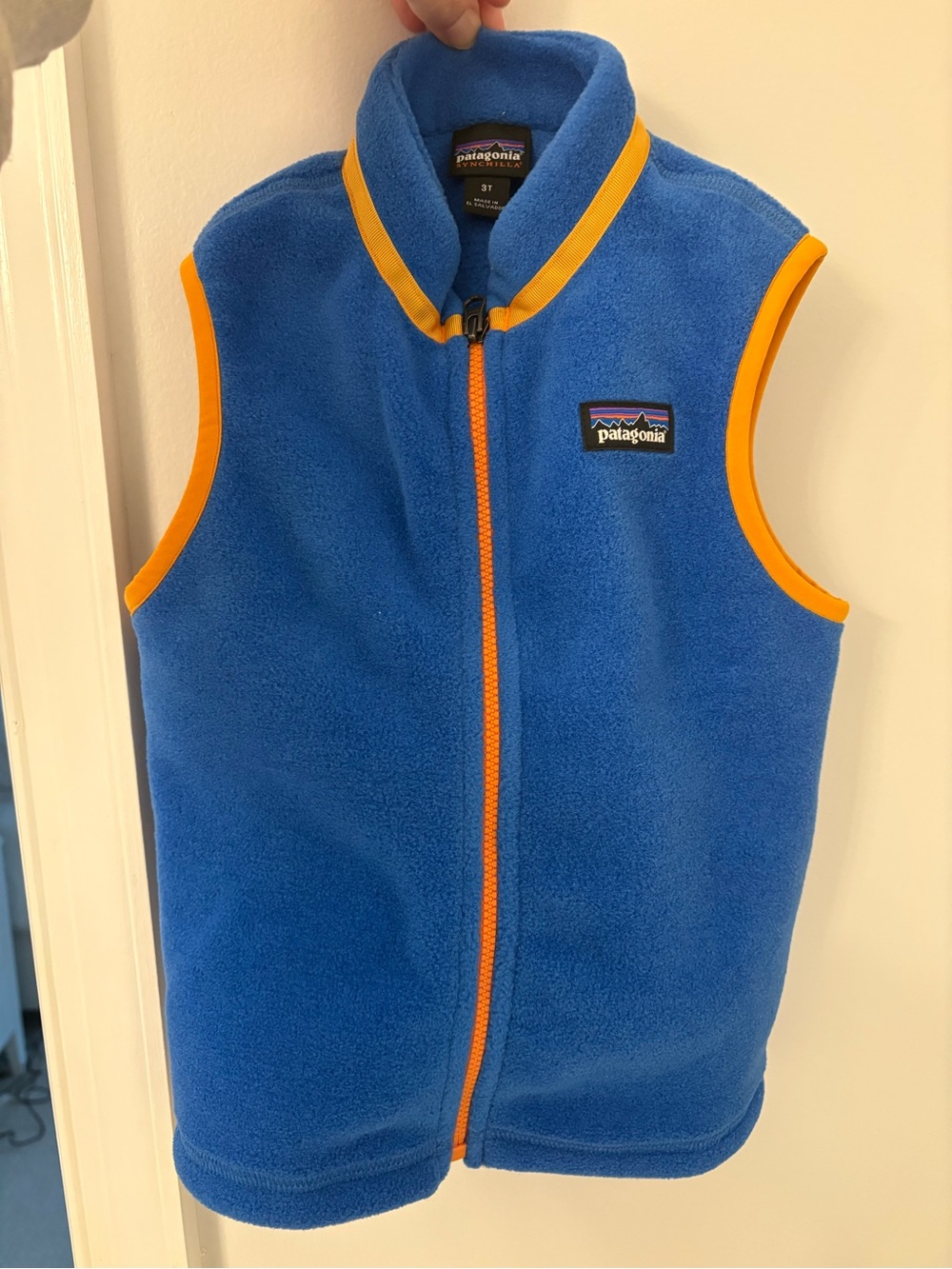 Patagonia Blue Synchilla Fleece Vest with Orange Accents
